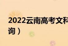 2022云南高考文科一分一段表（成绩排名查询）