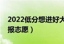 2022低分想进好大学的技巧（低分考生怎么报志愿）