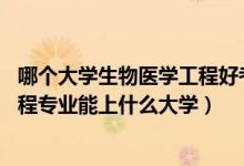 哪个大学生物医学工程好考（2022高考550分报生物医学工程专业能上什么大学）