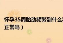 怀孕35周胎动频繁到什么程度说明缺氧（怀孕35周胎动频繁正常吗）