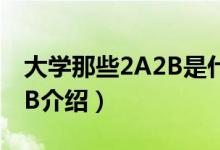 大学那些2A2B是什么意思啊（关于大学2A2B介绍）