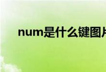 num是什么键图片（num是什么词性）