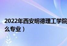 2022年西安明德理工学院招生计划及招生人数（各省都招什么专业）