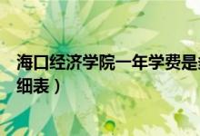 海口经济学院一年学费是多少（海口经济学院各专业收费明细表）