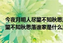 今夜月明人尽望不知秋思落谁家是什么句式（今夜月明人尽望不知秋思落谁家是什么意思）