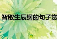 智取生辰纲的句子赏析（智取生辰纲的是谁）