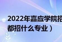 2022年嘉应学院招生计划及招生人数（各省都招什么专业）