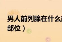 男人前列腺在什么部位?（男人前列腺在什么部位）