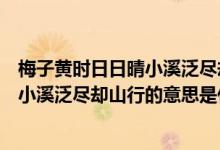 梅子黄时日日晴小溪泛尽却山行的意思是（梅子黄时日日晴小溪泛尽却山行的意思是什么）