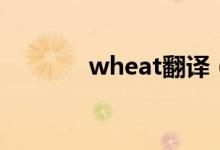 wheat翻译（wheat可数吗）