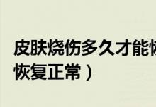 皮肤烧伤多久才能恢复（轻度烧伤几天皮肤能恢复正常）