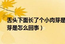 舌头下面长了个小肉芽是怎么回事?（舌头下面长了个小肉芽是怎么回事）