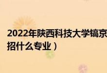 2022年陕西科技大学镐京学院招生计划及招生人数（各省都招什么专业）