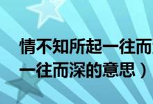 情不知所起一往而深的电视剧（情不知所起 一往而深的意思）