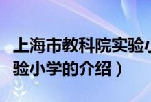 上海市教科院实验小学（关于上海市教科院实验小学的介绍）