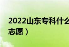 2022山东专科什么时候报志愿（专科怎么报志愿）