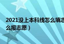 2021没上本科线怎么填志愿（2022没到本科线应该什么怎么报志愿）