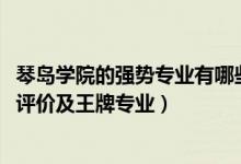 琴岛学院的强势专业有哪些（2022年青岛理工大学琴岛学院评价及王牌专业）