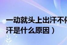 一动就头上出汗不停是什么原因（头部容易出汗是什么原因）