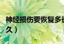 神经损伤要恢复多长时间（神经损伤恢复要多久）