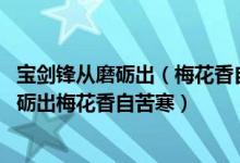 宝剑锋从磨砺出（梅花香自苦寒来意思 如何分析宝剑锋从磨砺出梅花香自苦寒）