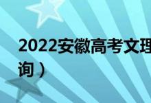 2022安徽高考文理一分一段表（成绩排名查询）