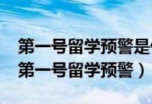 第一号留学预警是什么（教育部发布2019年第一号留学预警）