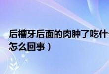 后槽牙后面的肉肿了吃什么消炎药（后槽牙后面的肉肿了是怎么回事）