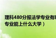 理科480分报法学专业有哪些大学（2022高考550分报法学专业能上什么大学）