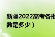 新疆2022高考各批次分数线公布（各批次分数是多少）