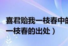 喜君贻我一枝春中的一枝春指的是（喜君贻我一枝春的出处）