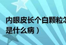 内眼皮长个白颗粒怎么办（内眼皮长个白颗粒是什么病）