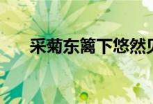 采菊东篱下悠然见南山（采菊东篱下）