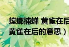 螳螂捕蝉 黄雀在后的意思是什么（螳螂捕蝉黄雀在后的意思）