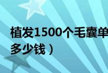 植发1500个毛囊单位面积图（植发1500单位多少钱）