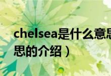 chelsea是什么意思（关于chelsea是什么意思的介绍）