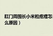 肛门周围长小米粒疙瘩怎么办（肛门周围长小米粒疙瘩是什么原因）