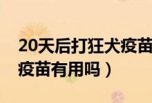 20天后打狂犬疫苗可以吗（20天后补打狂犬疫苗有用吗）