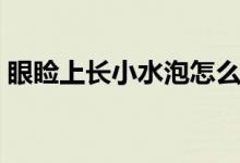 眼睑上长小水泡怎么回事（眼睑上长小水泡）