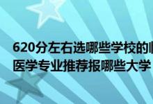 620分左右选哪些学校的临床专业（2022高考440分学临床医学专业推荐报哪些大学）