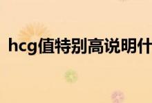 hcg值特别高说明什么（hcg值高说明什么）