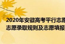 2020年安徽高考平行志愿填报技巧（2022年安徽高考平行志愿录取规则及志愿填报设置解读）