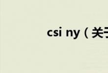 csi ny（关于csi ny的介绍）