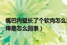 嘴巴内壁长了个软肉怎么治疗（嘴巴内壁长了个软肉不痛不痒是怎么回事）