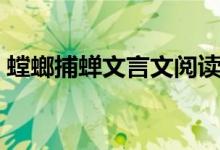 螳螂捕蝉文言文阅读答案（螳螂捕蝉文言文）