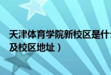 天津体育学院新校区是什么学校（天津体育学院有几个校区及校区地址）