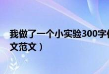 我做了一个小实验300字作文三年级（我做了一项小实验作文范文）