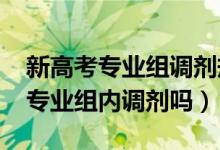 新高考专业组调剂规则（2022高考调剂是在专业组内调剂吗）