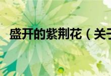 盛开的紫荆花（关于盛开的紫荆花的介绍）