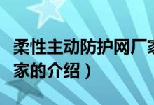 柔性主动防护网厂家（关于柔性主动防护网厂家的介绍）